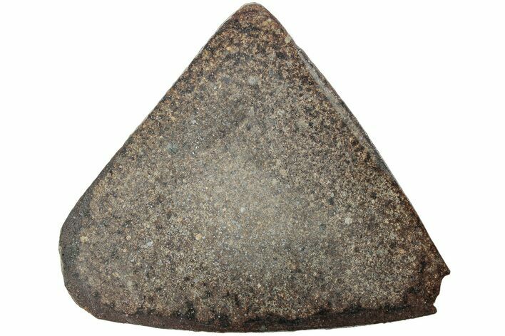 Polished Chondrite Meteorite Slice ( g) - Morocco #238052